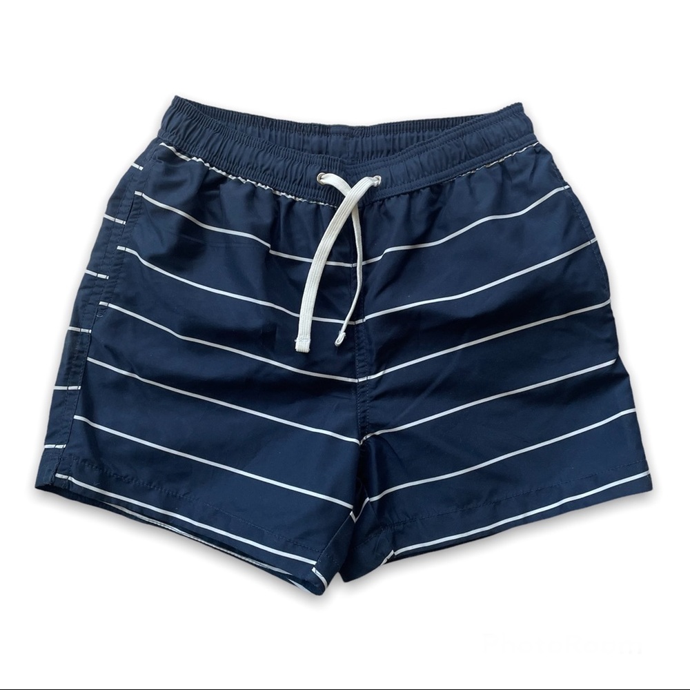 Mens Striped Swim Trunks